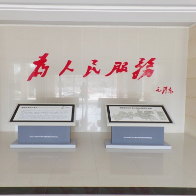 企奇迹单元进口抽象墙