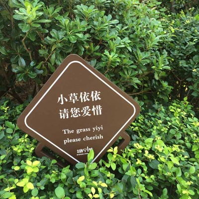 花卉牌