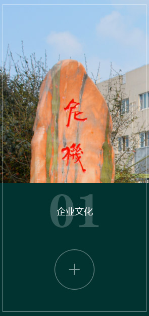 图片展示