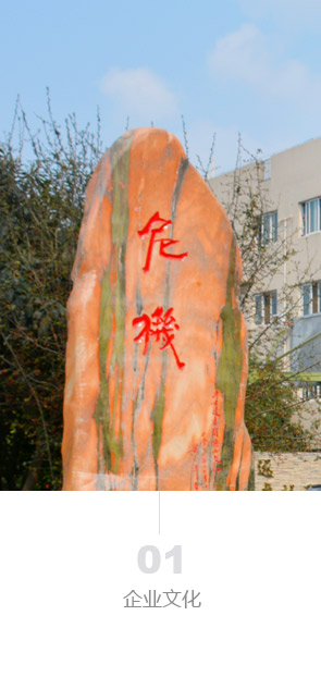 图片展示