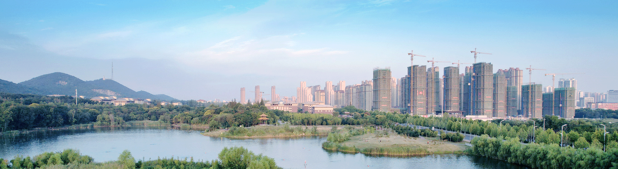 图片展示