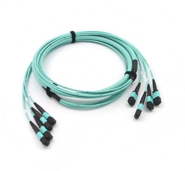 MTP®/MPO Trunk Cable, MTP®/MPO-12 UPC (Female) to MTP®/MPO-12 UPC (Female), 48 Fibers, Multimode (OM3)