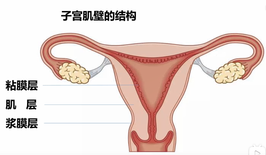 电外科技术在妇科手术的应用