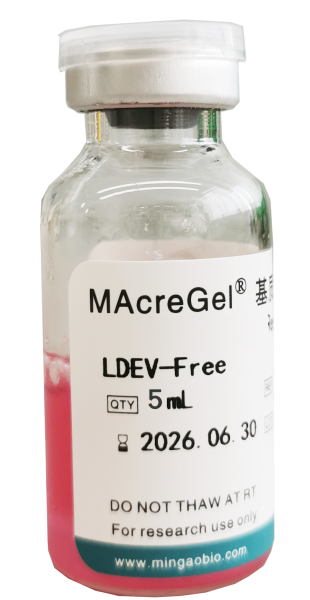 MAcreGel 标准型基质胶，含酚红