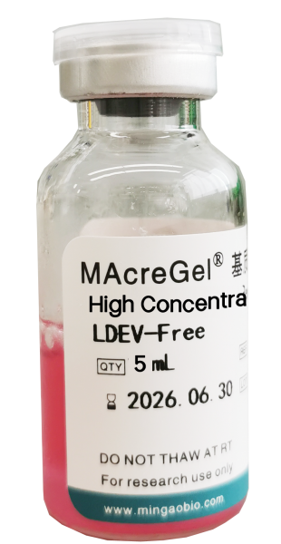 MAcreGel 高浓度基质胶，含酚红