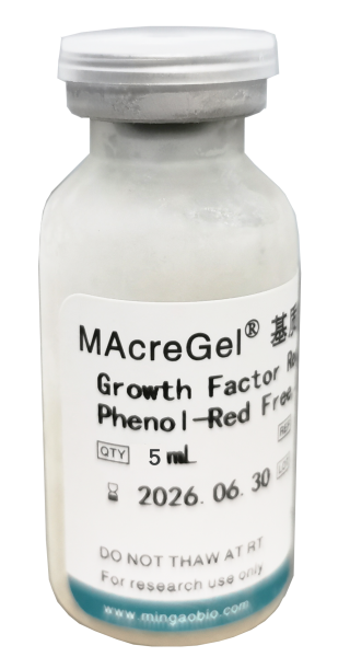 MAcreGel 低生长因子基质胶