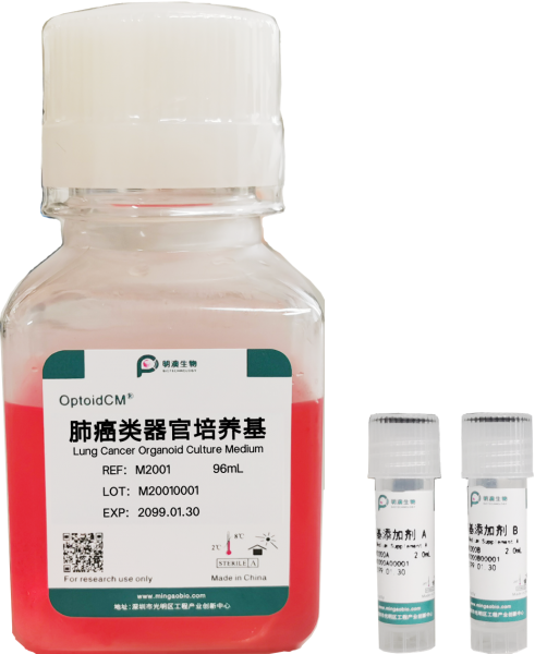 肺癌类器官培养基，Lung Cancer Organoid Culture Medium