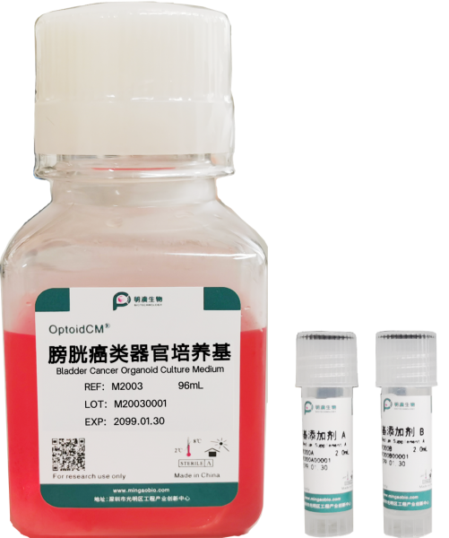 膀胱癌类器官培养基, Bladder Cancer Organoid Culture Medium