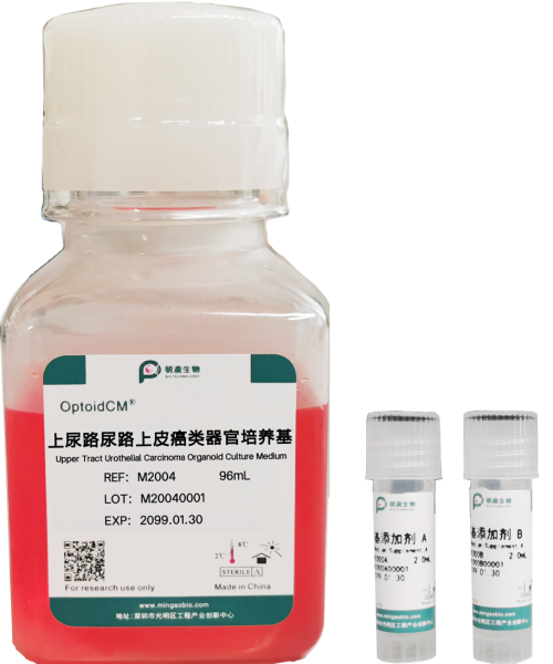 上尿路尿路上皮癌培养基, Upper Tract Urothelial Carcinoma Organoid Culture Medium