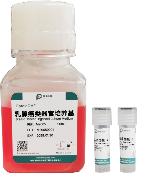 乳腺癌类器官培养基, Breast Cancer Organoid Culture Medium