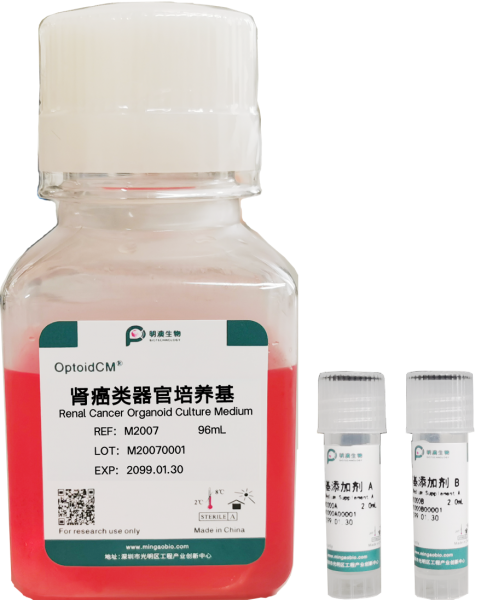 肾癌类器官培养基, Renal Cancer Organoid Culture Medium