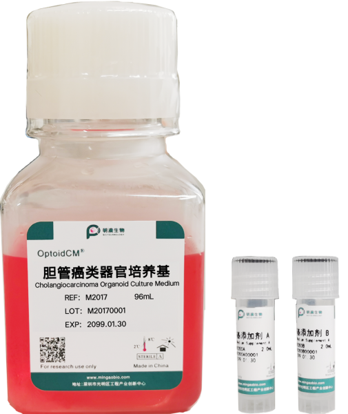 胆管癌类器官培养基, Cholangiocarcinoma Organoid Culture Medium