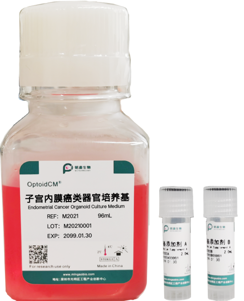 子宫内膜癌类器官培养基, Endometrial Cancer Organoid Culture Medium