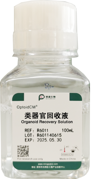 类器官回收液, Organoid Recovery Solution