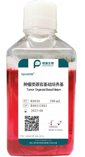 肿瘤类器官基础培养基, Tumor Organoid Basal Medium
