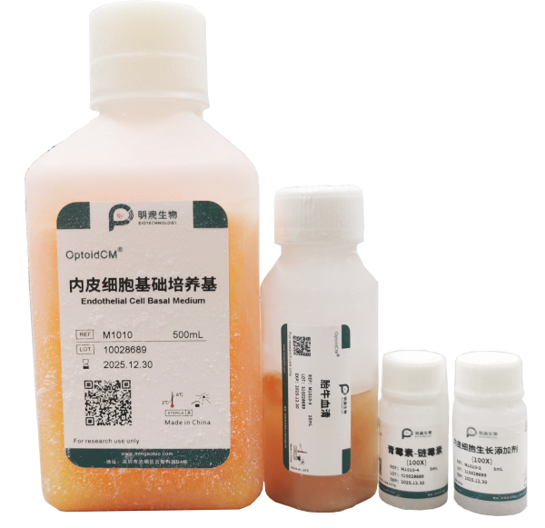 内皮细胞培养基（Endothelial Cell Medium）