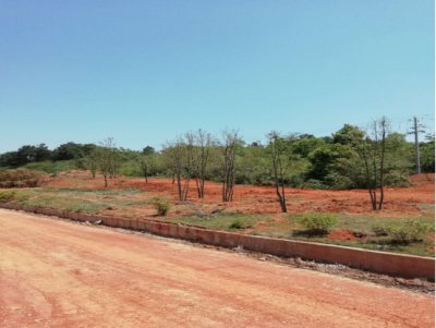 花明互通毗连线拓改工程