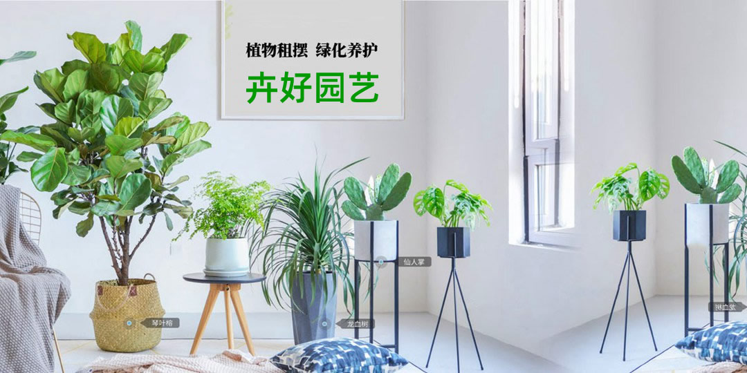 上海绿植租赁-植物租摆-花卉绿植出租-绿化养护服务-上海卉好园艺有限公司
