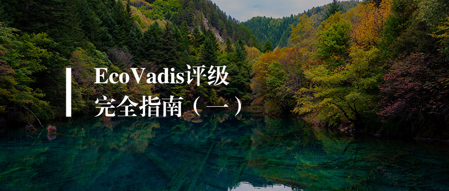 EcoVadis评级完全指南：从入门到高分，一篇文章帮你理清