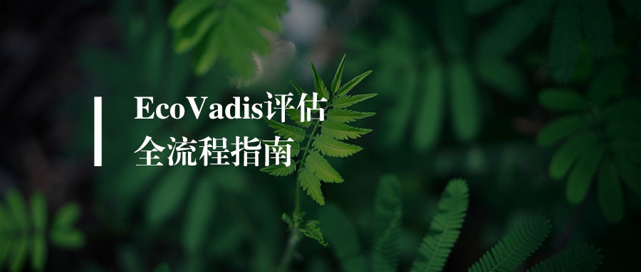 从注册到结果：EcoVadis评估全流程指南
