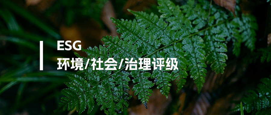 ESG评级标准有哪些？一文看懂国内外主流ESG评级体系