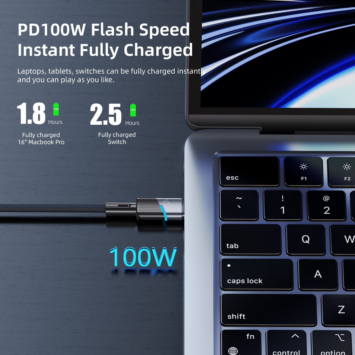 Vyvylabs Superb Series Fast Charging Cable Type-C to Type-C 100W 