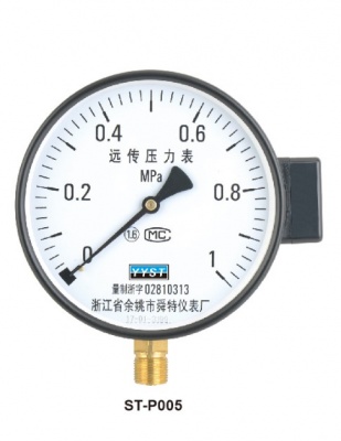 遠傳壓力表
