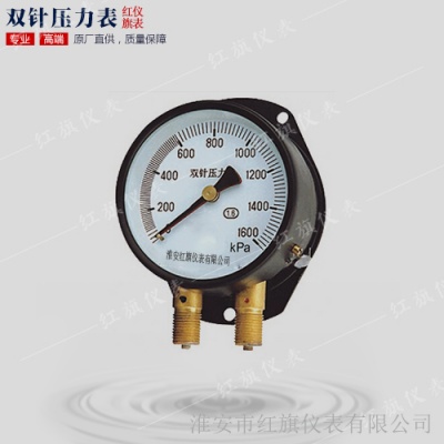 YZS-102雙針壓力表