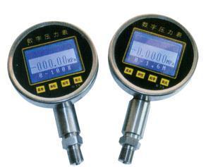 精密數字壓力表
