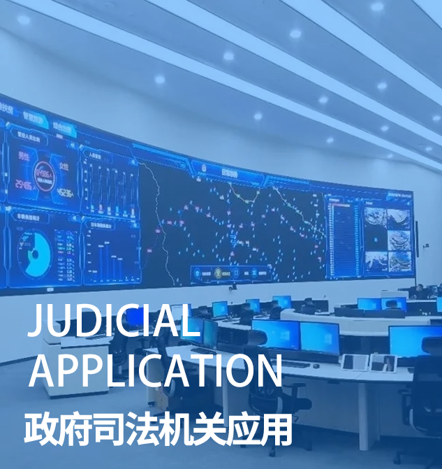 政府司法机关应用