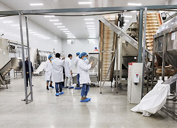 中药材加工厂房设计规范：构建产业现代化根基的七大原则-四川华盛兴邦工程设计公司