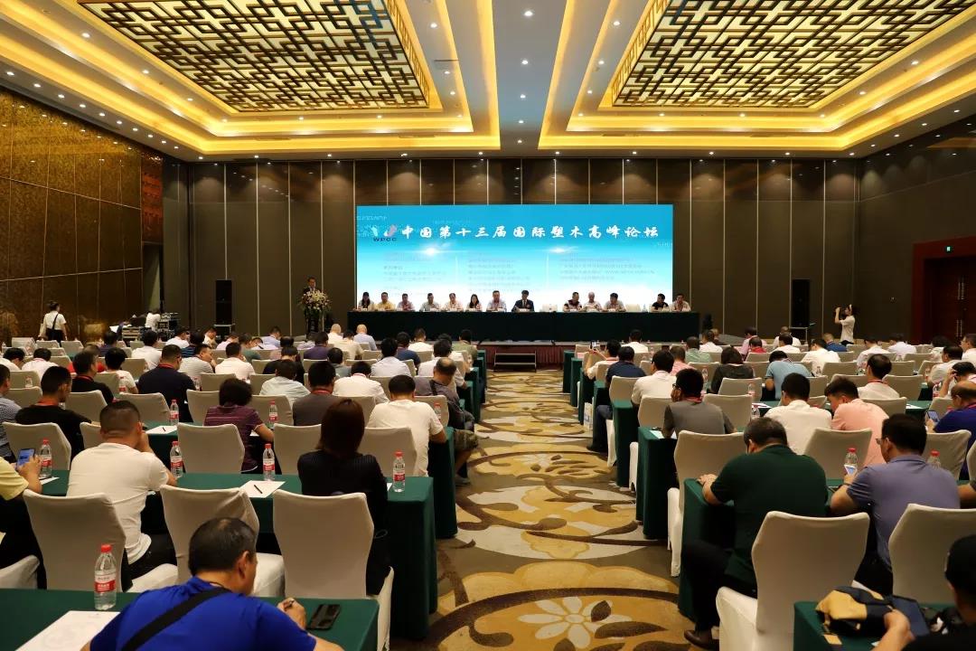 朱文玮理事长在中国塑协塑木专...