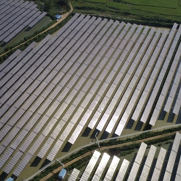 宝运莱_官方网站app下载