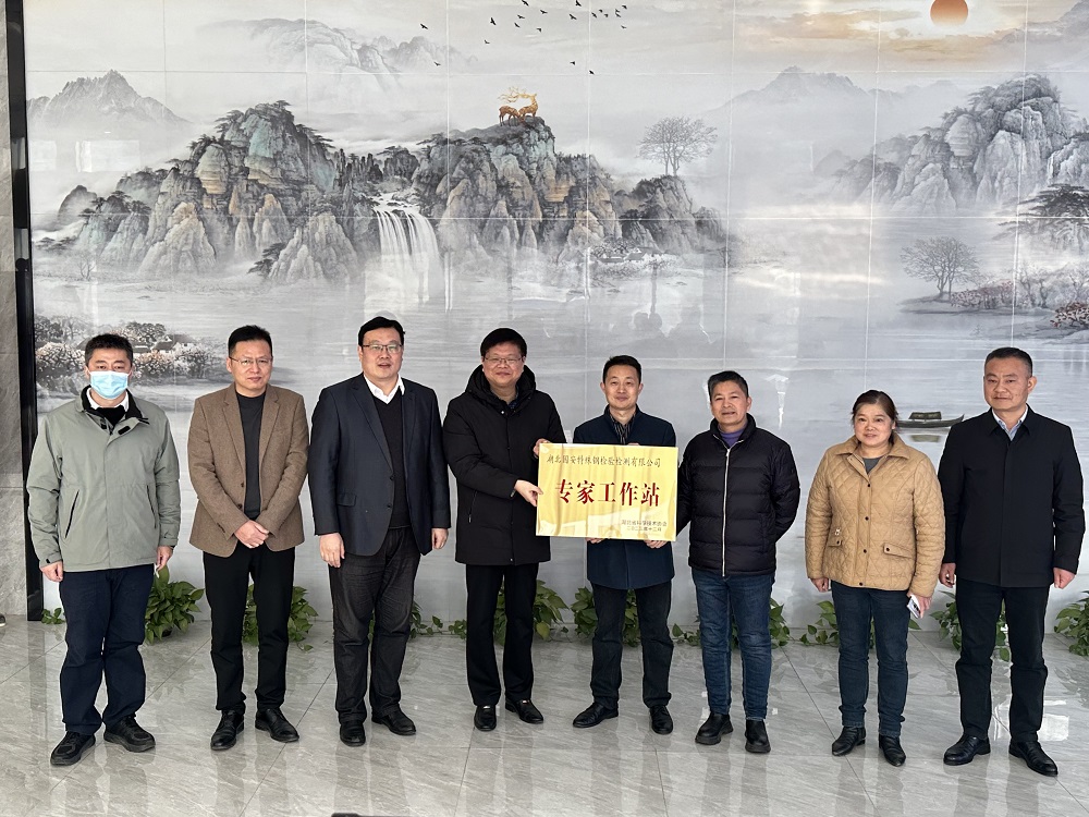 湖北宝运莱特殊钢磨练检测有限公司“专家事情站”乐成授牌