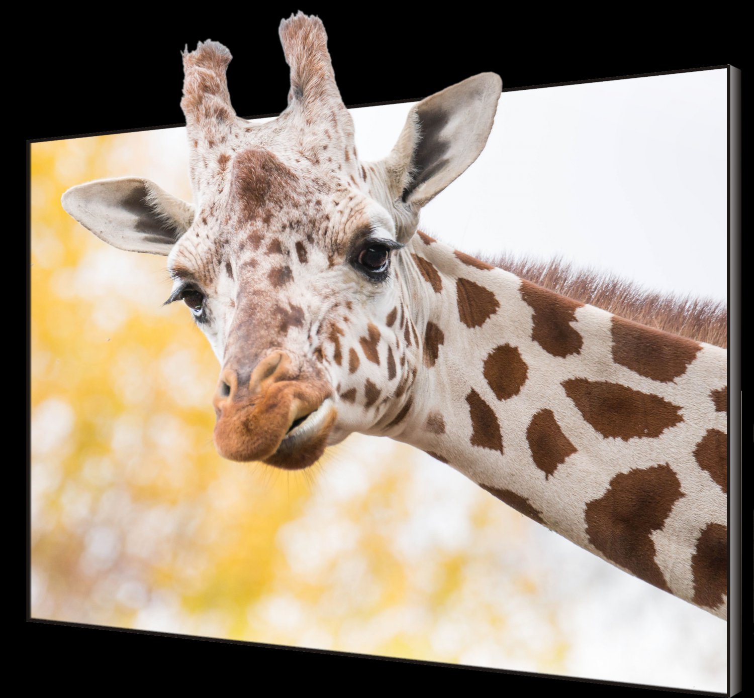 智能小间距LED屏