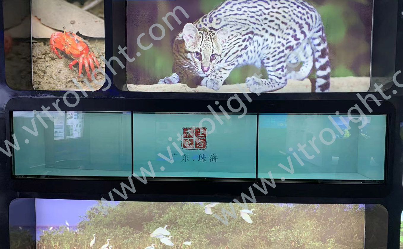 广东省珠海市香洲区情侣中路都会妄想馆49寸1×3透明拼接屏