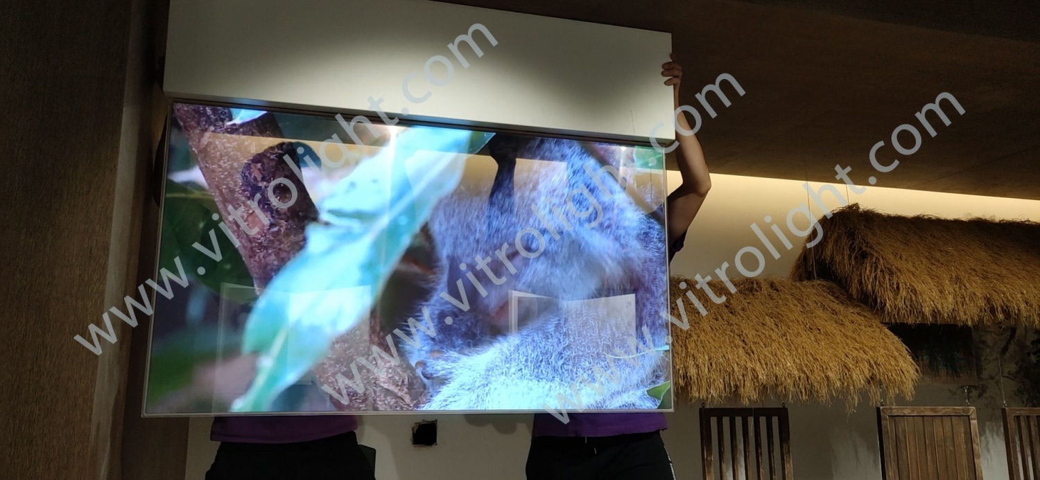 南通市群英馆55寸透明OLED项目