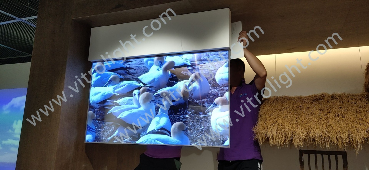 南通市群英馆55寸透明OLED项目