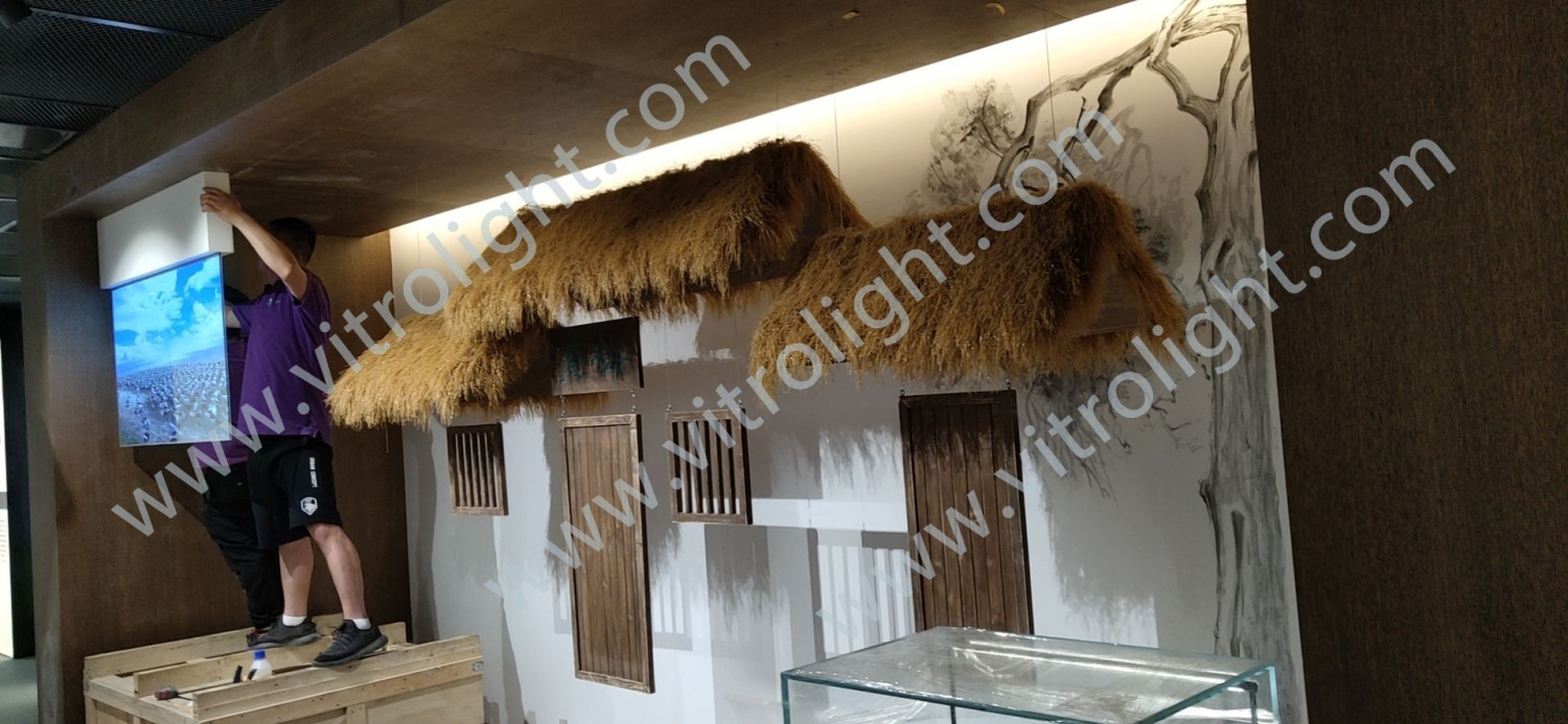 南通市群英馆55寸透明OLED项目