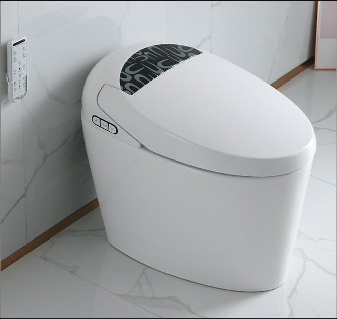 690-2048智能坐便器