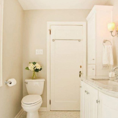 Deodorant for Toilet