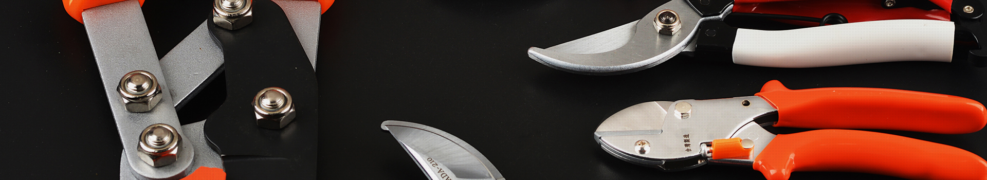 图片展示（shì）