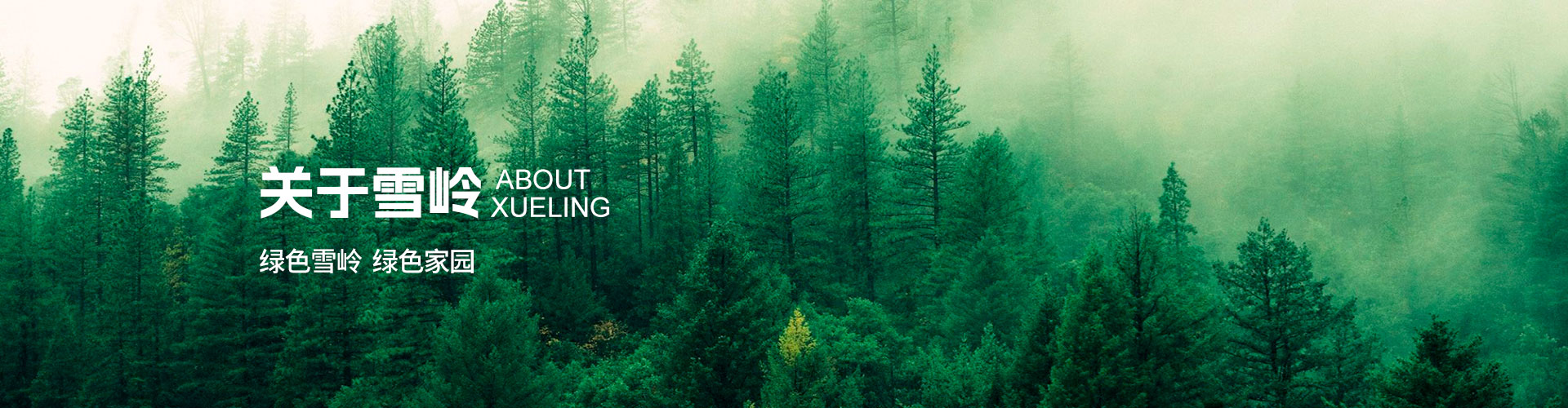 威廉希尔·(WilliamHill)中文官方网站