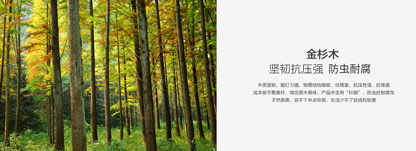 威廉希尔·(WilliamHill)中文官方网站