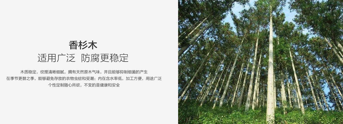 威廉希尔·(WilliamHill)中文官方网站