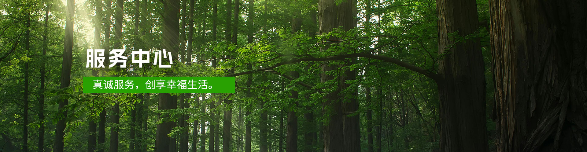 威廉希尔·(WilliamHill)中文官方网站