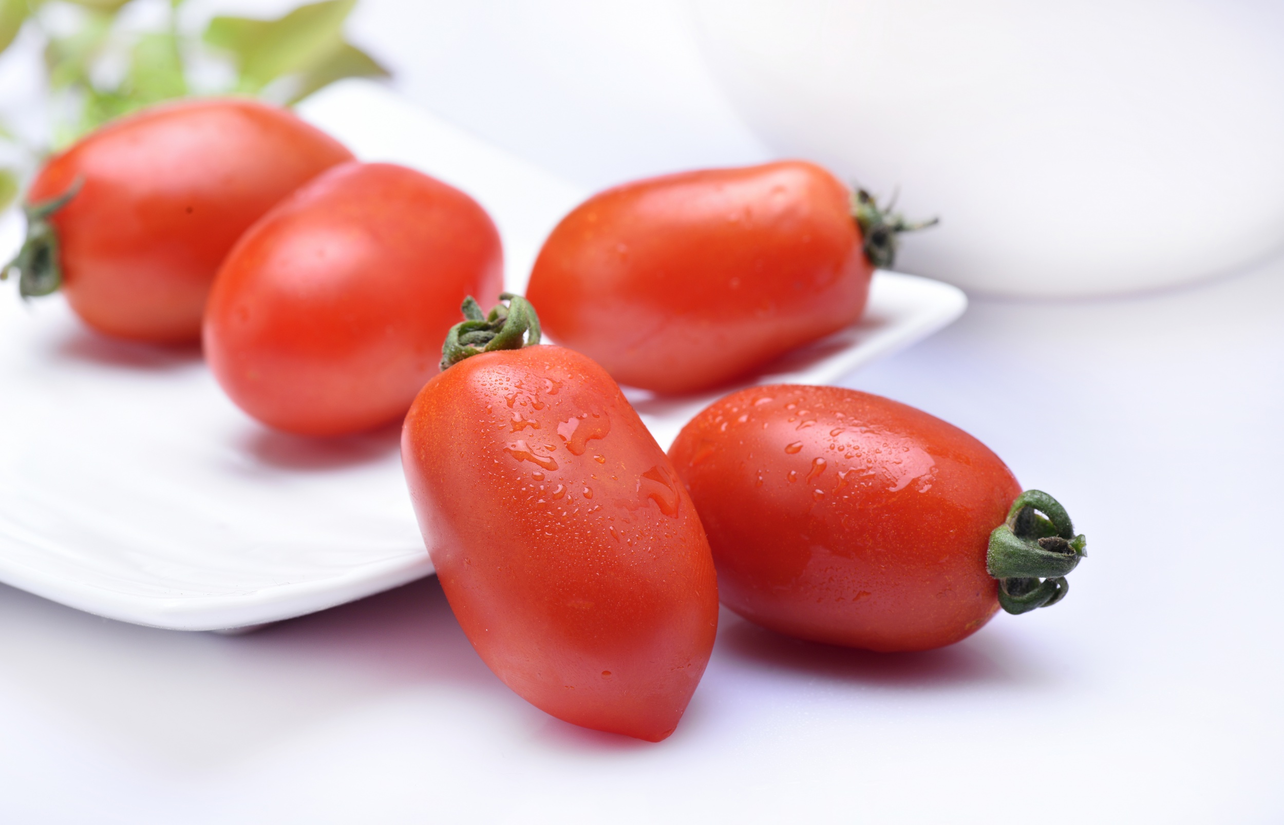 HX-9310S蒸汽烤箱食谱