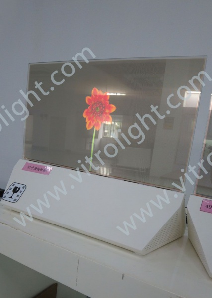 30 Inch OLED Transparent  Display