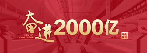 喜报!我司荣获国家专精特新“小巨人” 喜报!我司荣获国家专精特新“小巨人”