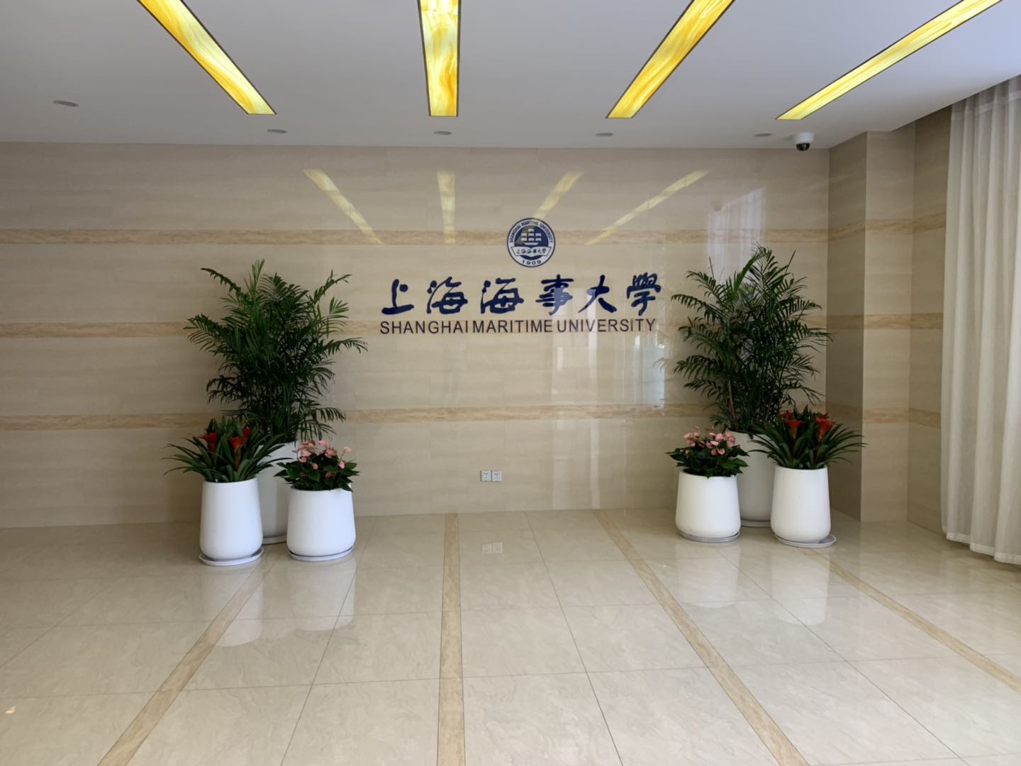 办公室植绿植租赁案例